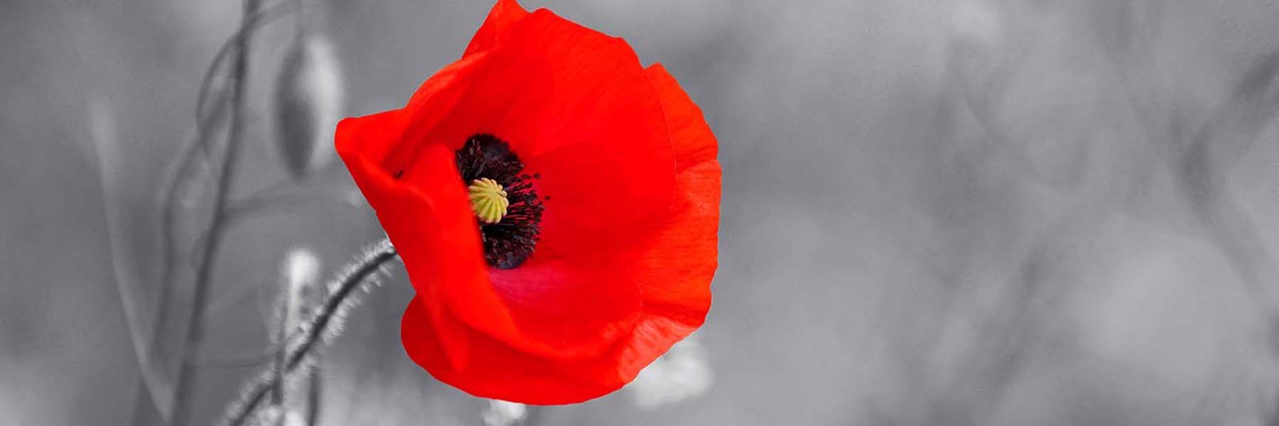 Remembrance Day Gift Baskets
