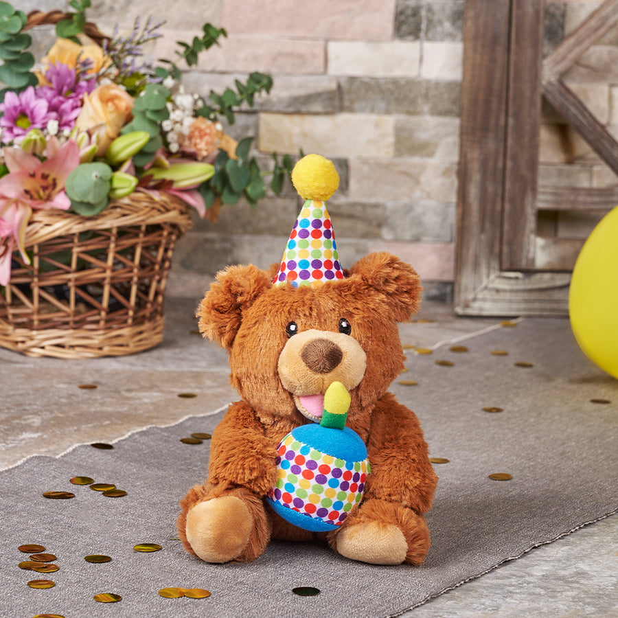 Happy Birthday Bear Plush, plush gift, plush, teddy bear gift, teddy bear, birthday gift, birthday