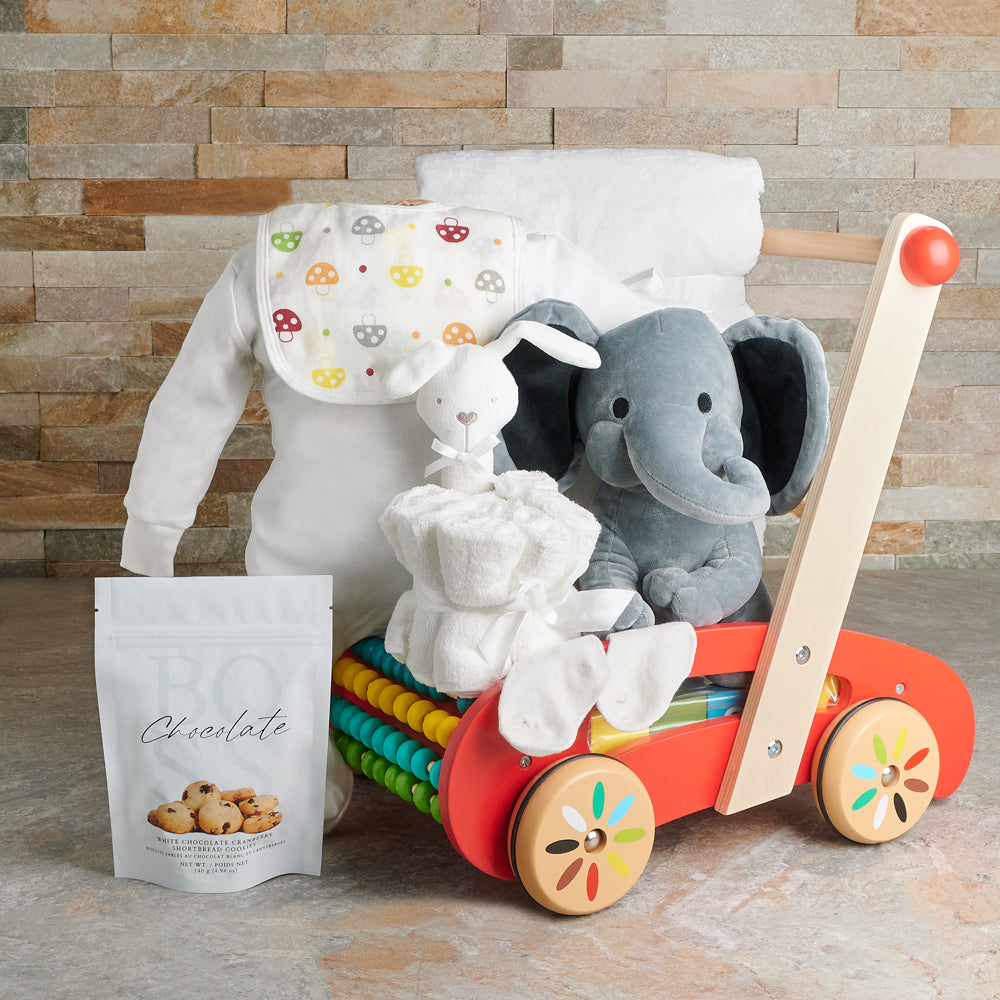 Soft Elephant Neutral Baby Walker Gift Set