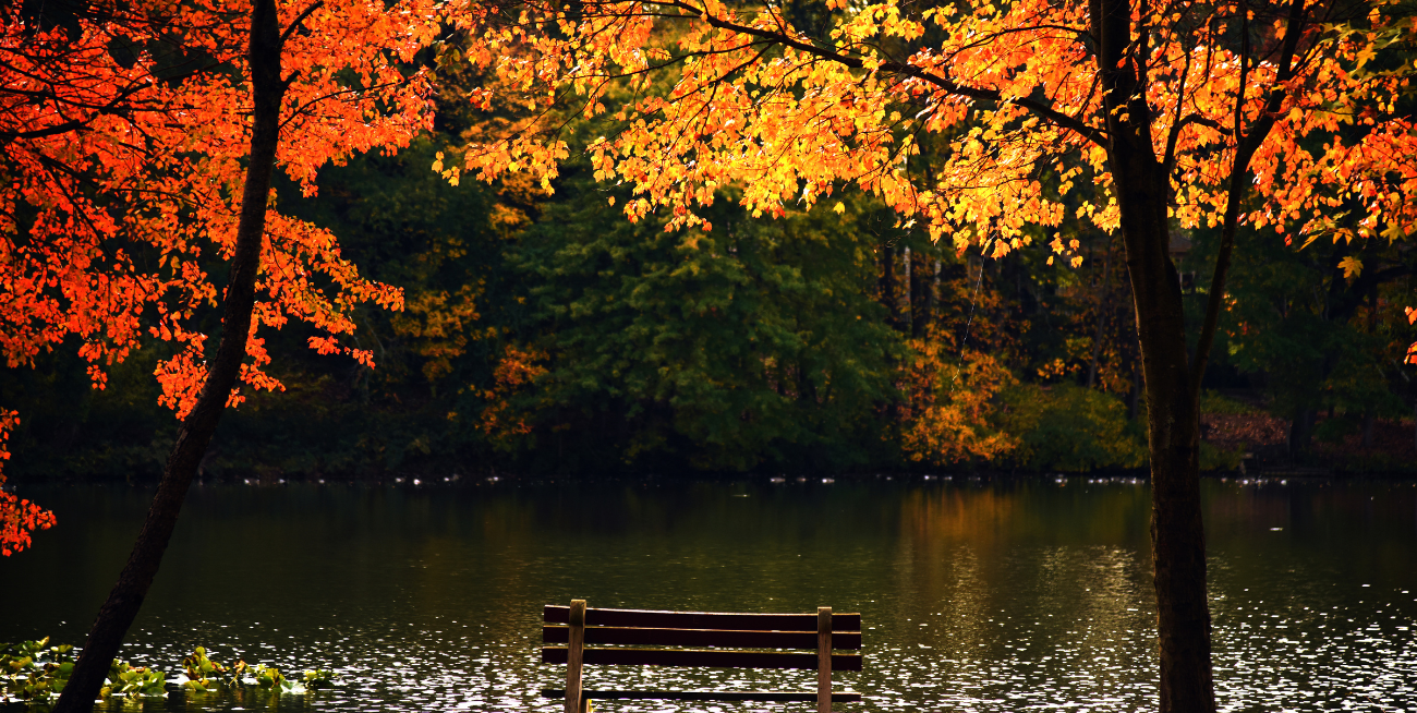 How to Plan the Perfect Fall Weekend Getaway