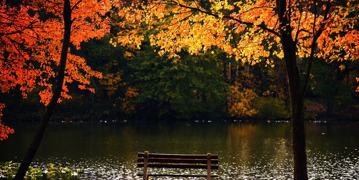 How to Plan the Perfect Fall Weekend Getaway