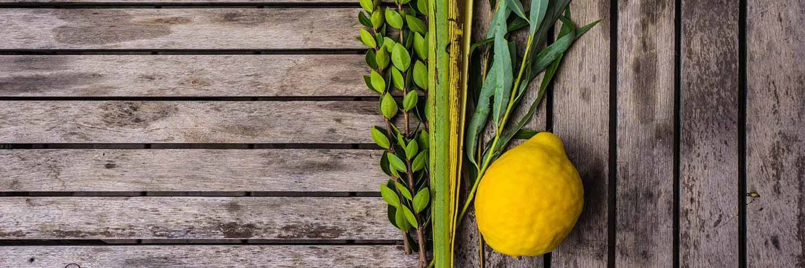 Sukkot