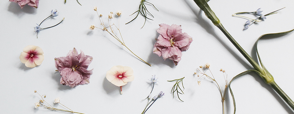 Plant of the month Clubs - Flower of the Month Clubs