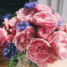 Flower of the month Clubs - Muted Pastels