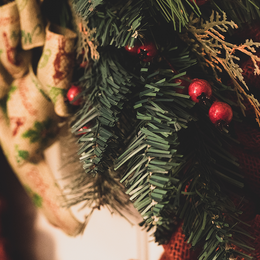 Flower of the Month Club Canada - Seasonal Flowers