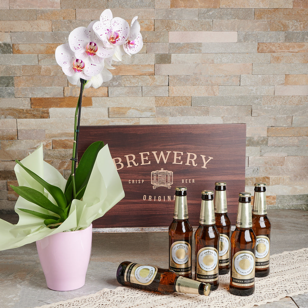 Vibrant Brewery &amp; Botanical Beer Gift Box, orchid gift, plant gift, beer gift