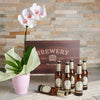 Blooming Friendship Beer Gift Set, orchid gift, plant gift, beer gift