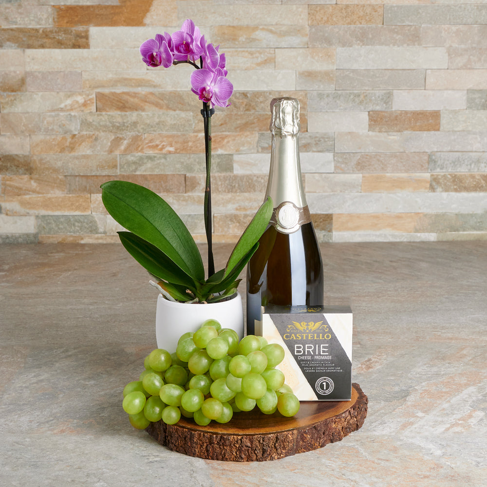 Blooming Orchid & Champagne Gift, gourmet gift, gourmet, sparkling wine gift, sparkling wine, fruit gift, fruit, orchid gift, orchid