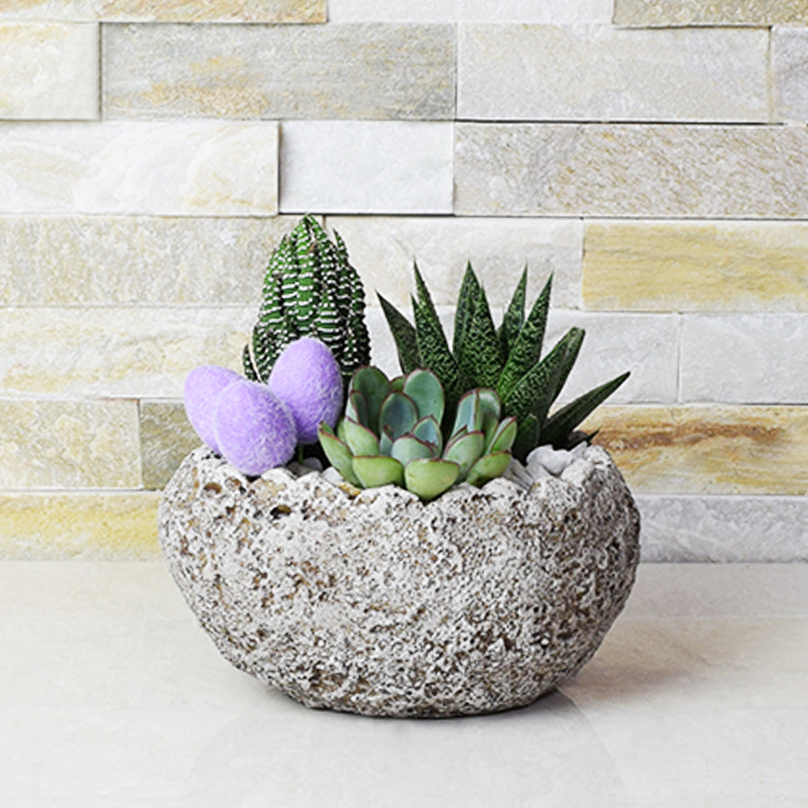 Easter Egg Rock Succulent