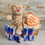 Red Bull - I Love You! Gift Basket