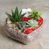 Succulent Heart-Shaped Planter, Valentine's Day gifts, floral gifts