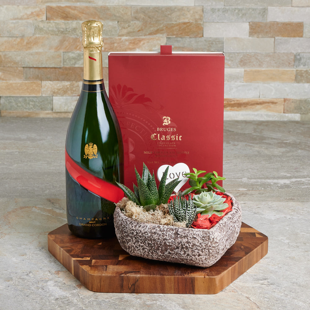 Valentine’s Garden of Love Champagne Gift Set, Valentine's Day gifts, sparkling wine gifts, plant gifts, truffles