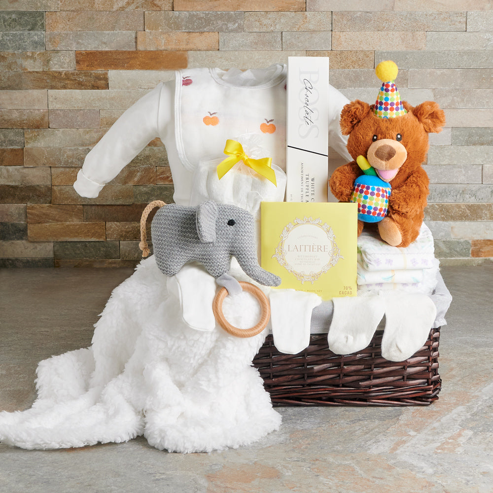 Welcome to the World Baby Gift Basket, baby gift, baby, baby shower gift, baby shower, neutral baby gift, neutral baby