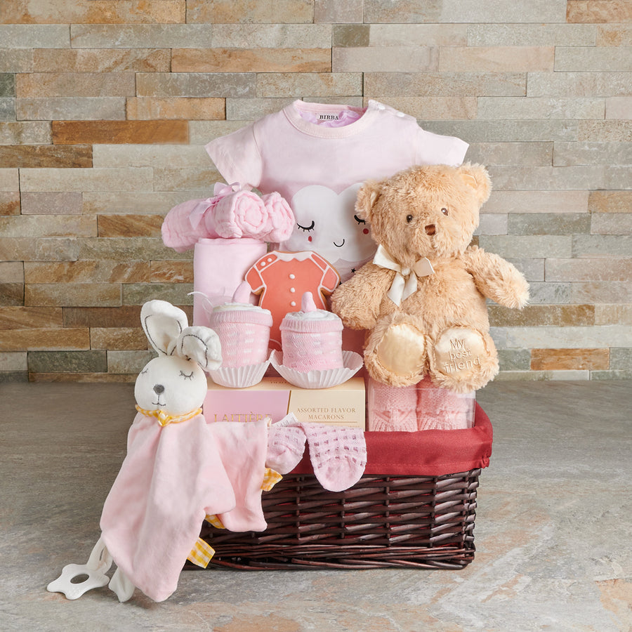 Baby Girl Welcoming Starter Basket, baby gift, baby, baby girl gift, baby girl, baby shower gift, baby shower