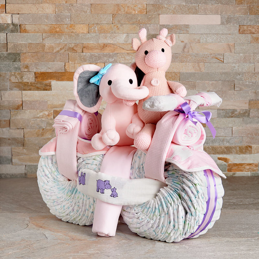 Sweet Ride Baby Girl Gift, baby gift, baby, baby girl gift, baby girl, new baby gift, new baby, baby shower gift, baby shower