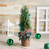 holiday,  tree,  christmas,  potted plant,  Set 24032-2021, potted tree delivery, delivery potted plant, christmas potted tree canada, canada christmas potted plant, toronto