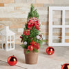 potted plant,  tree,  holiday,  christmas,  Set 24033-2021, holiday plantss delivery, delivery holiday plants, christmas tree canada, canada christmas tree, toronto