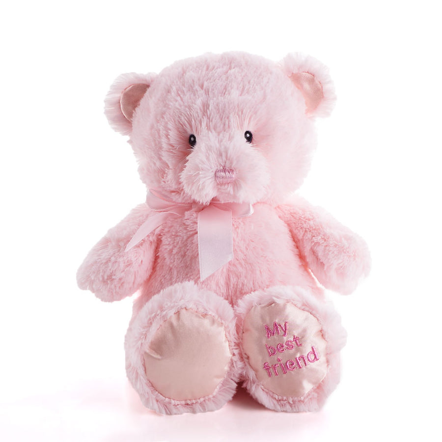Pink Best Friend Baby Plush Bear, Toy Plushy, Baby Gifts, Baby Plushies, Baby Toys, Canada Delivery